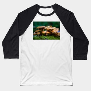 Honey mushrooms cluster Baseball T-Shirt